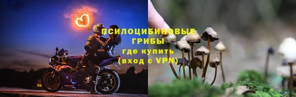 крисы Богородицк