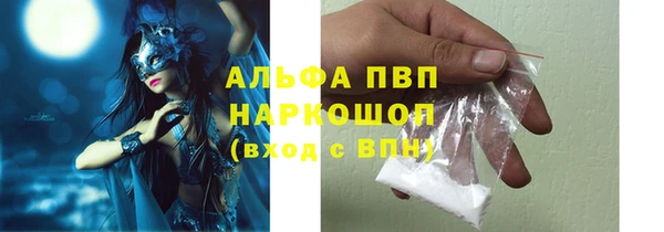 крисы Богородицк