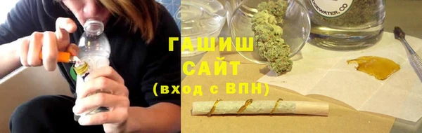 сатива Бородино
