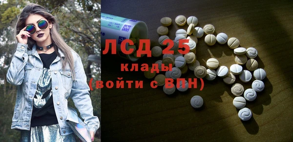 крисы Богородицк