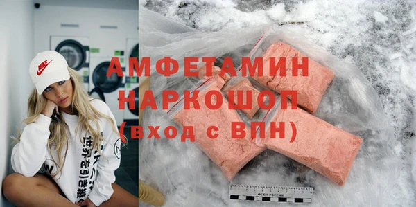 сатива Бородино