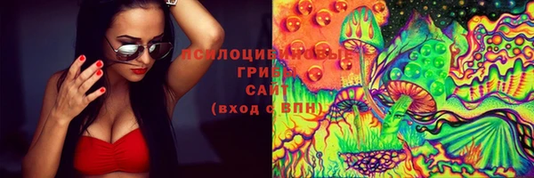 крисы Богородицк