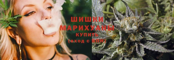 сатива Бородино