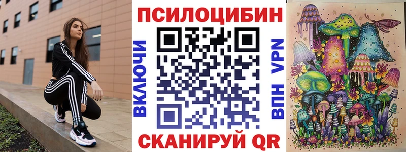 цены   Коломна  Галлюциногенные грибы Cubensis 